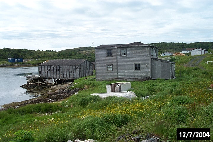 People adapted to the rocky shoreline: an abandoned house and shed built on posts. 